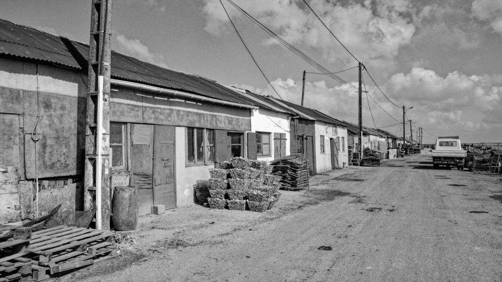 Village Ostreicole de Saint-Trojan-les-Bains